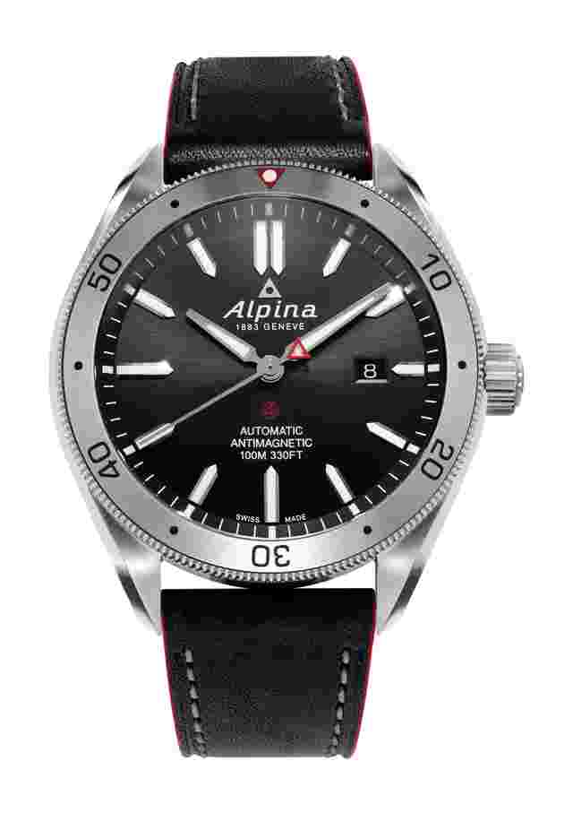 Alpina
  
          Alpiner4