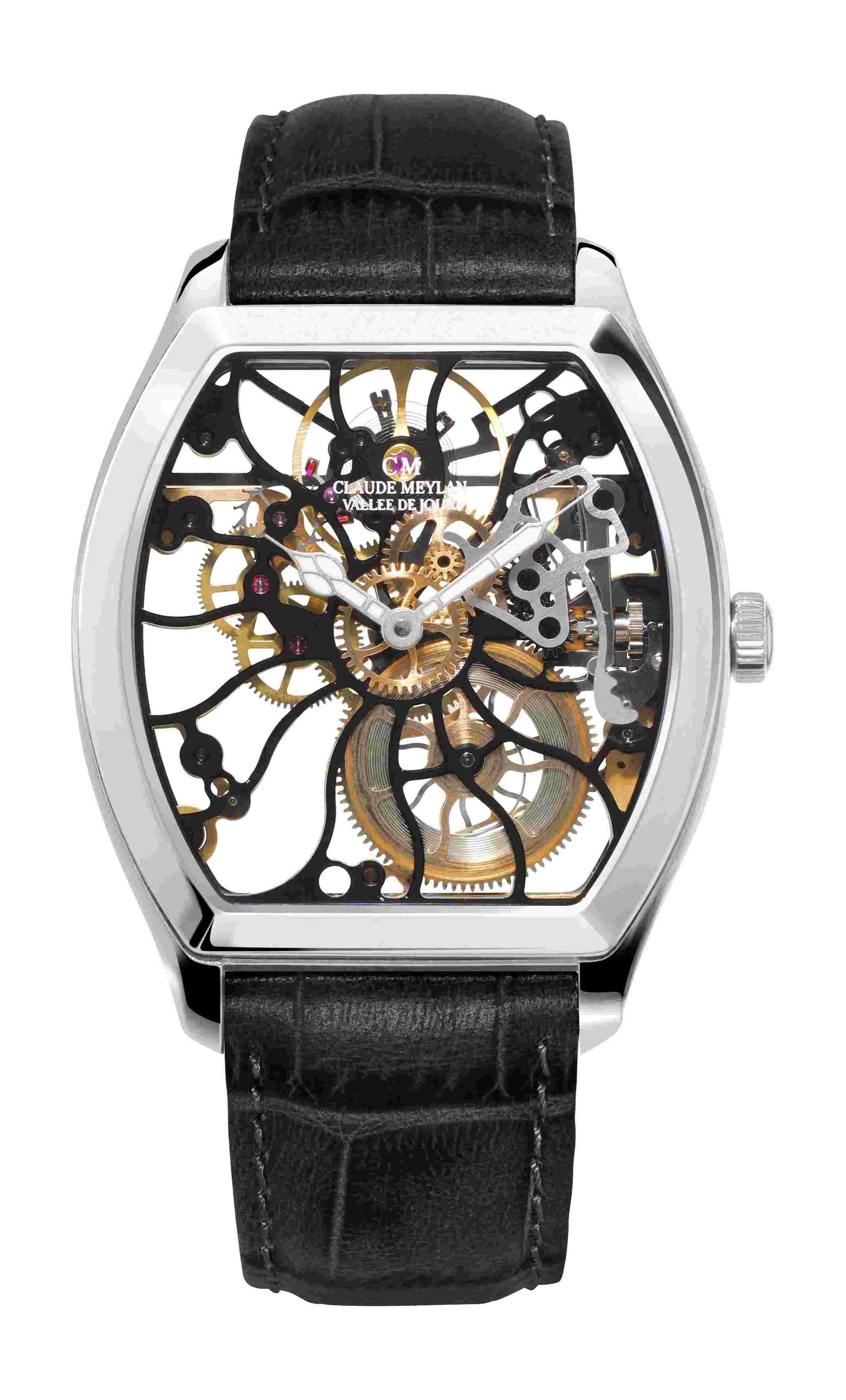 Claude Meylan
Tortue