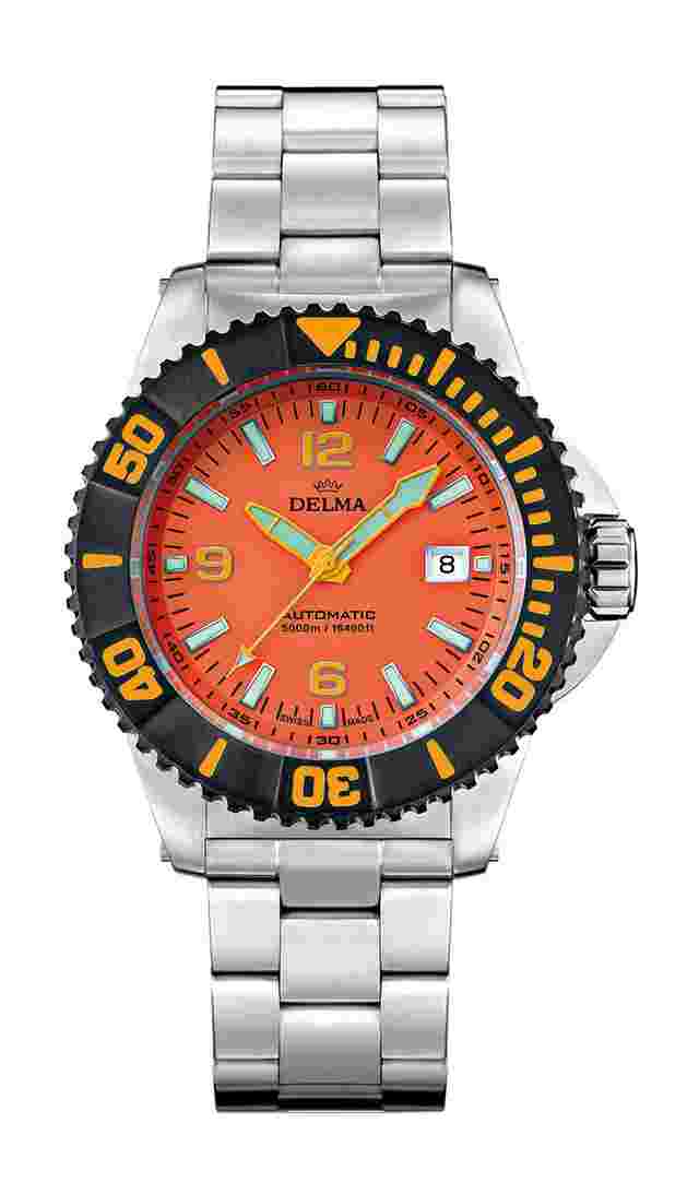 Delma
Blue Shark IV