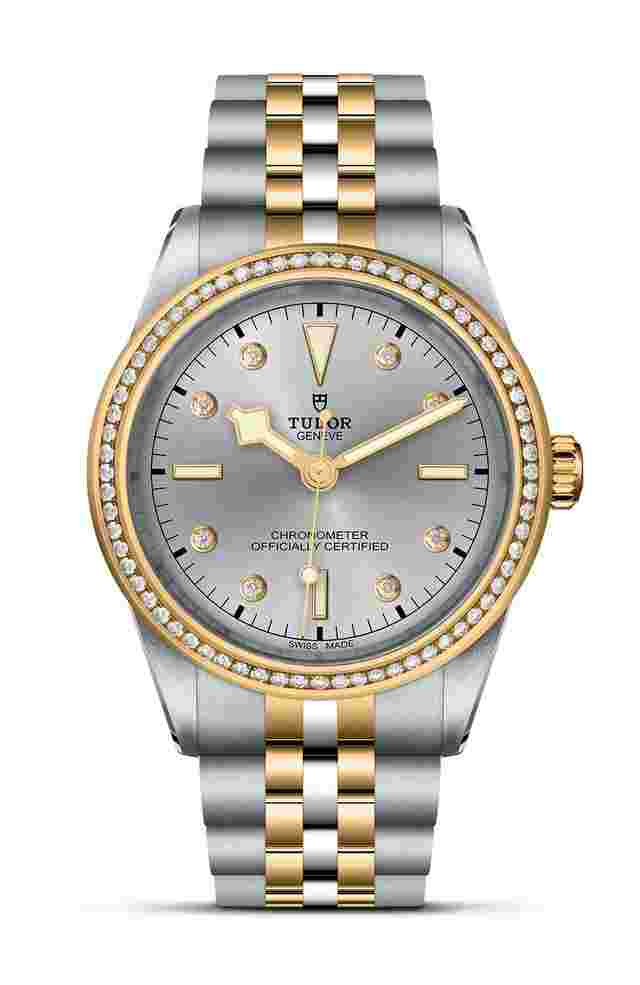 TUDOR
  
          Black Bay 39 S&G