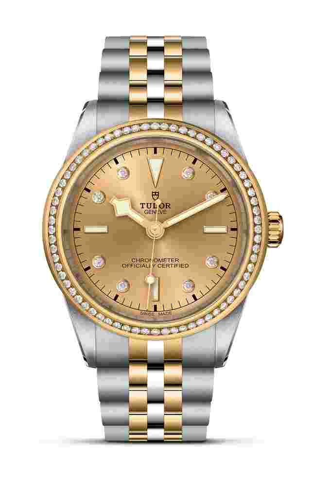 TUDOR
  
          Black Bay 39 S&G
