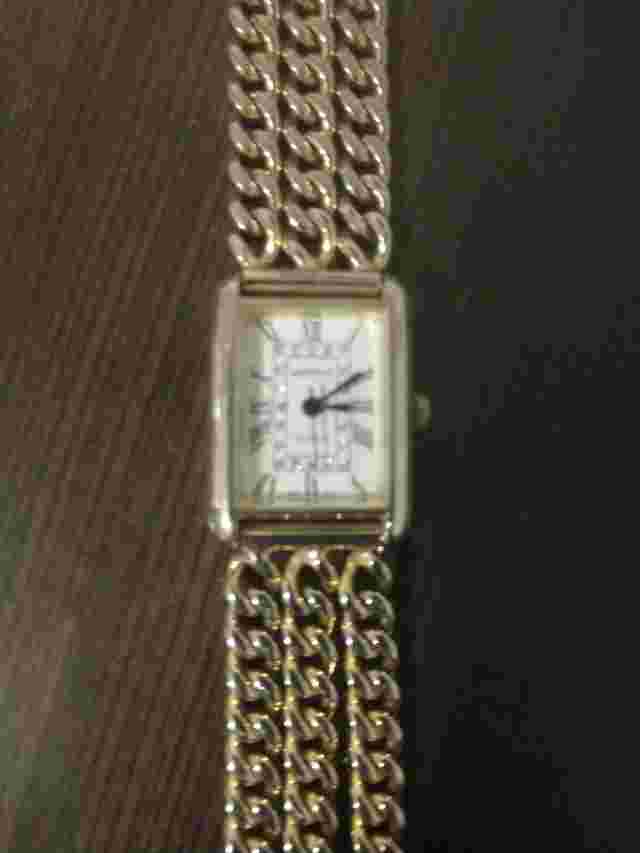 M Z Berger Watch