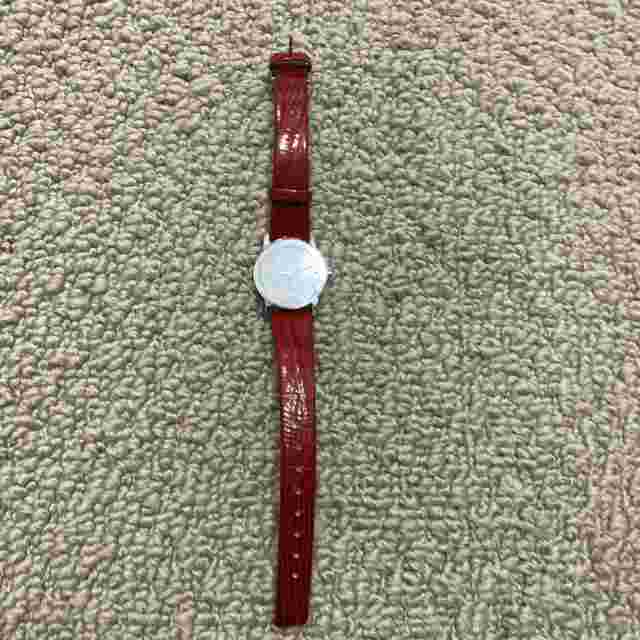NWOT Grenen Denmakrk Stainless Steel Genuine Leather Red Silver Jewel Watch