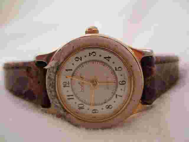 Bonjour Brown & Gold Toned Wristwatch w/ Adjustable Band