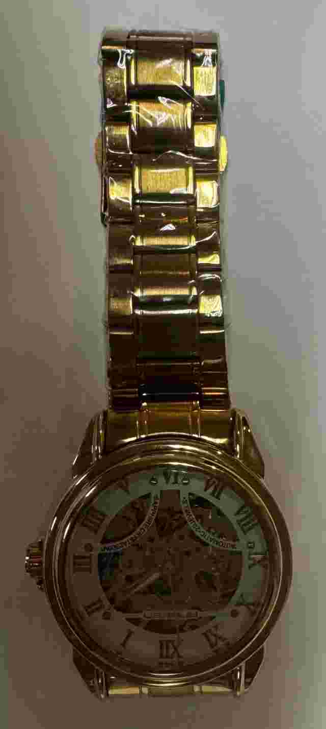 Automatic Mechanical Hollow Self-winding Luxury Fashion Men's Waterproof