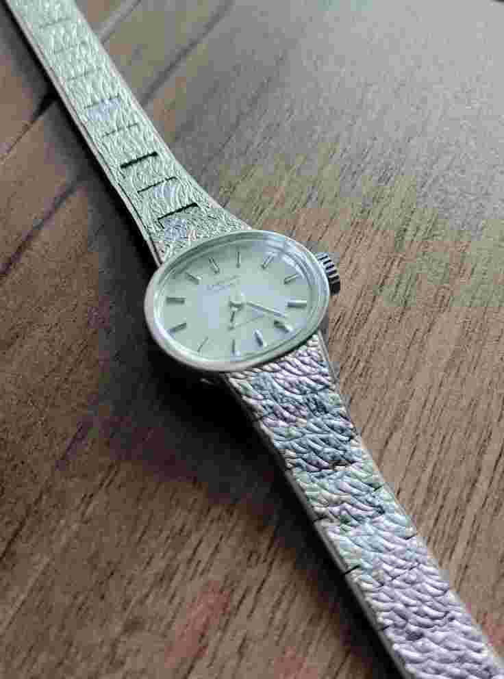 Vintage Ladies Cardinal Watch-17 Jewels-Shockproof-Silver-Swiss-Runs Great!