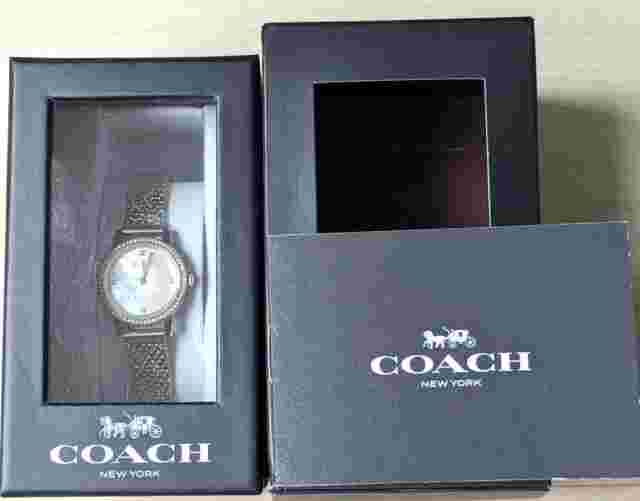 Coach Watch Audrey Shell Dial