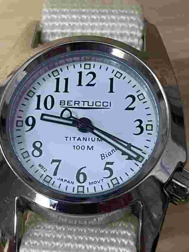 Bertucci M-1T Women’s Field Watch Titanium 18008M1-TProColorsport Hard To Find