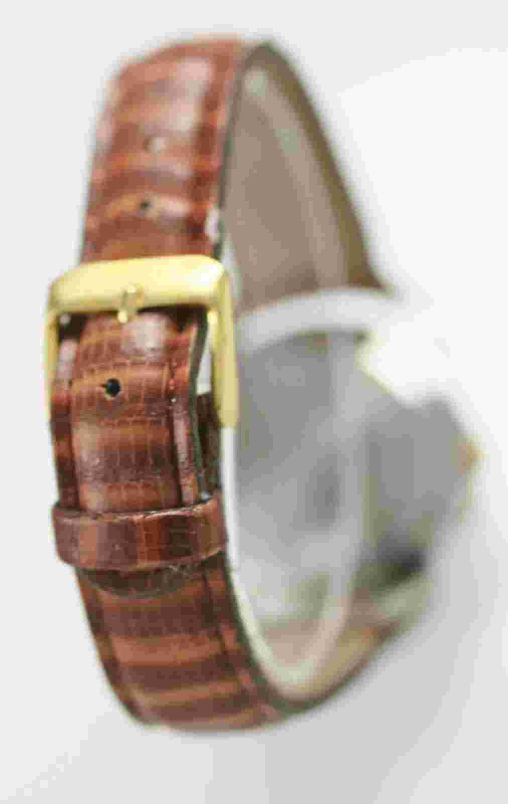 Sierra Club Mens Watch White Stainless Silver Gold Brown Leather Date 30m Quartz