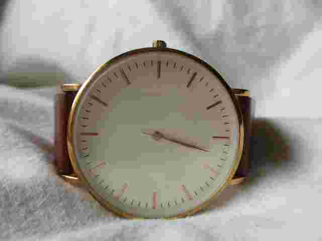 H&M Brown & Gold Toned Wristwatch w/ Adjustable Buckle Band