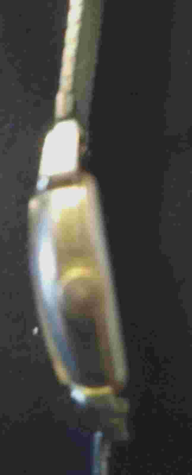 Vintage Eastman 8 jeweled Woman's Watch