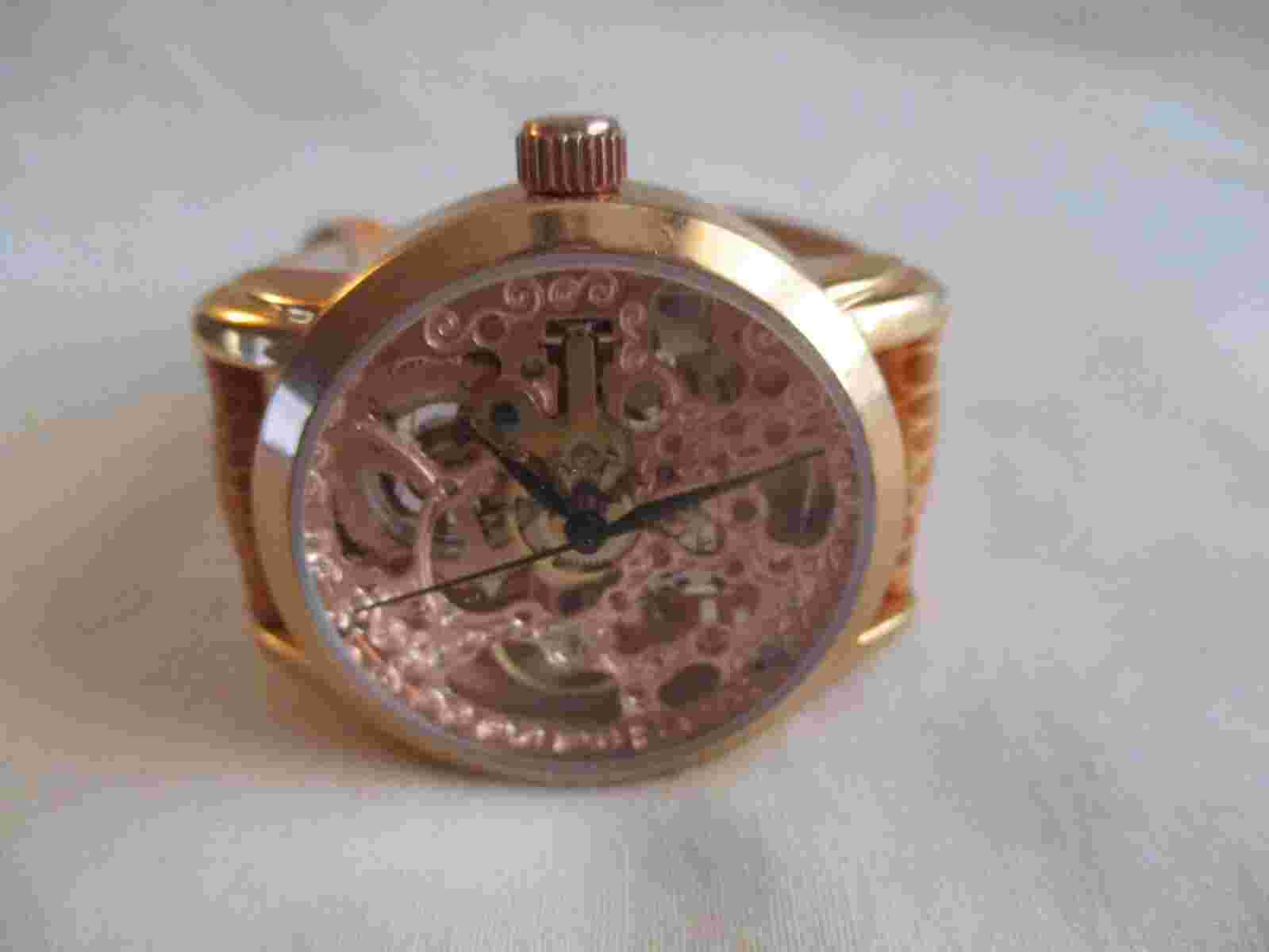 Akribos XXIV AK431RG-A Automatic Wristwatch Steampunk Self Winding Leather Band