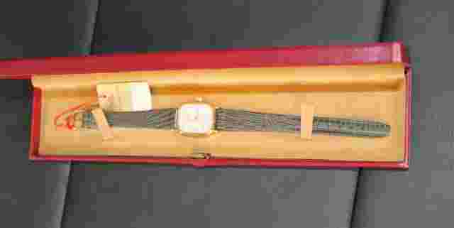 Exactus unisex swiss watch
