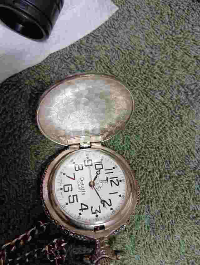 Details Quartz Elk Pocket Watch New