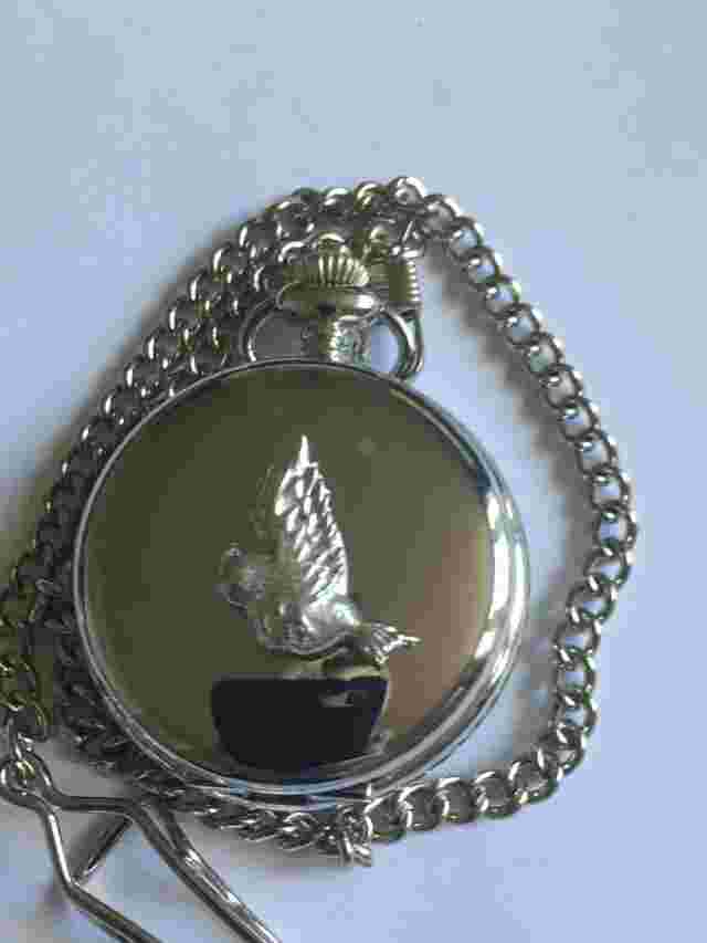 Bird In Flight TG214  Pewter on a Silver Pocket Watch Quartz fob