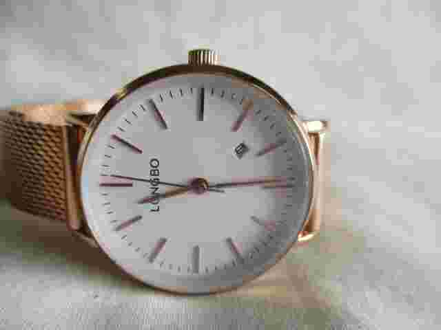 Longbo Analog Wristwatch with a Date Indicator