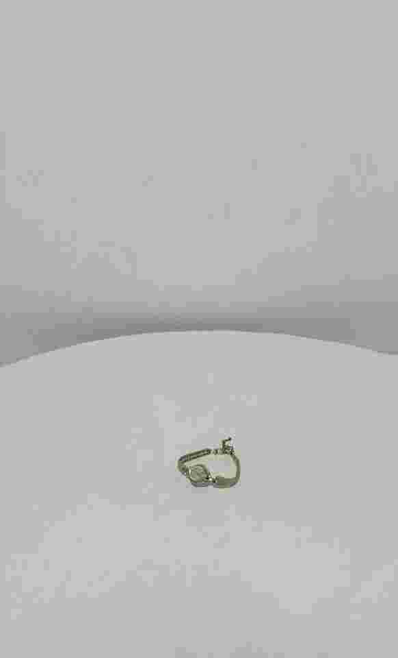 An Unique Vintage LE GANT 17 Jewels 10K Hadley Rolled Gold Plated w/ Lost Crown