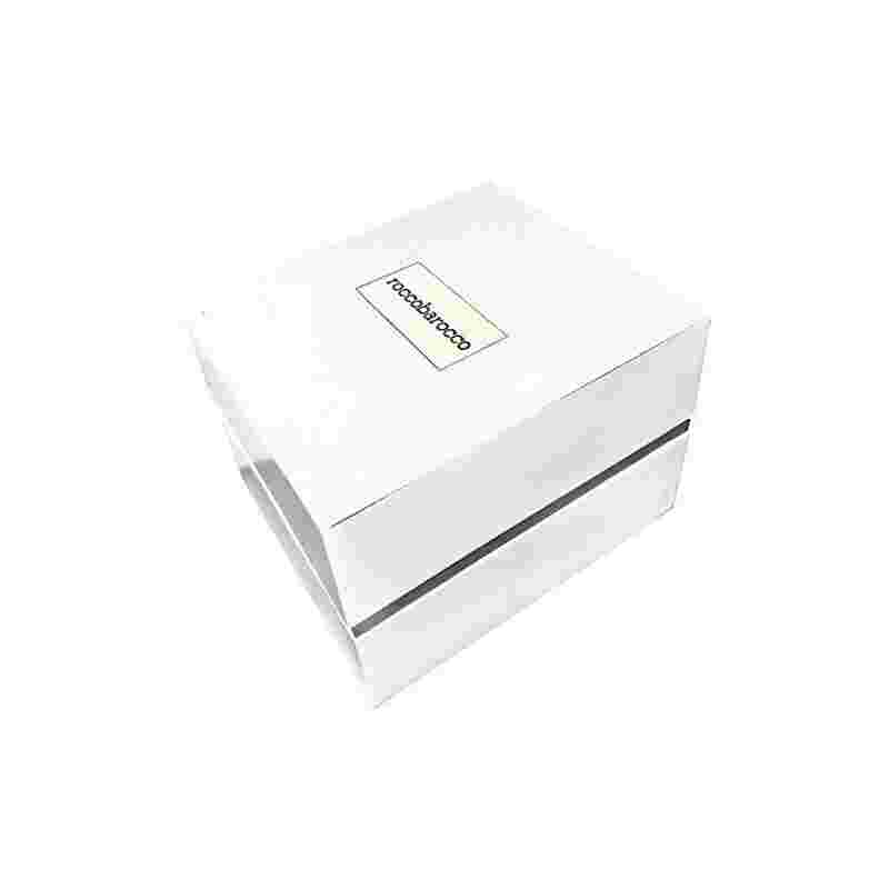 Womens Watch ROCCOBAROCCO HOUR MINUTE HM-2.2.3 Leather White RB Lady