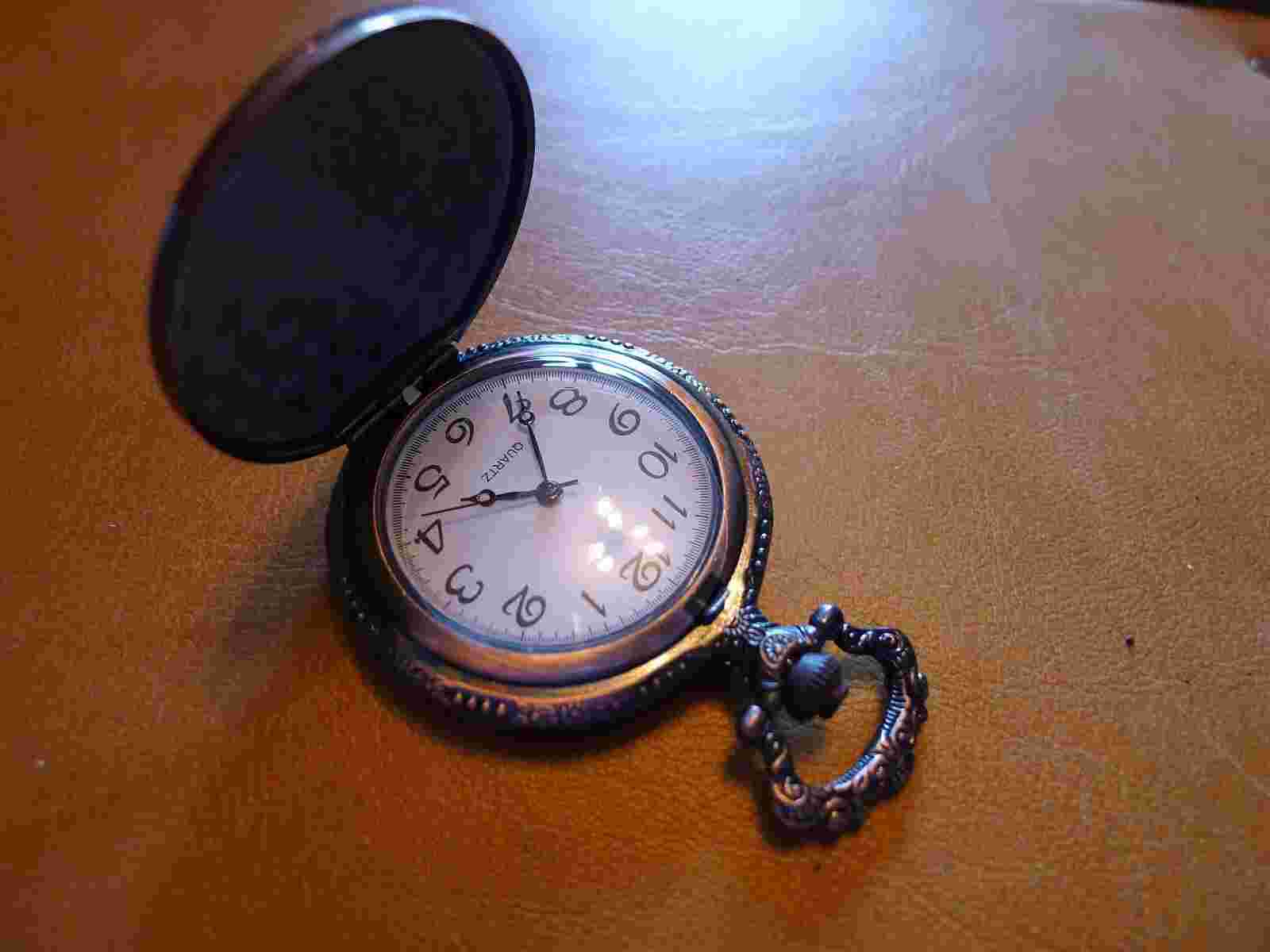 NEW.. Bronzed Flying Ducks  Qtz Hunter Pocket Watch...GWC.