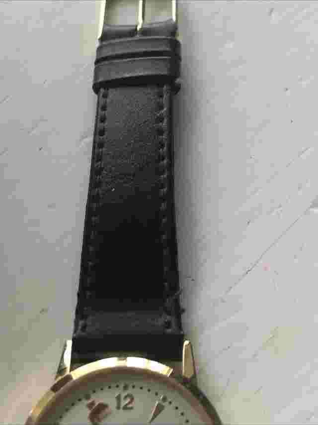 Pierre Nichol Golf Watch NEW BATTERY