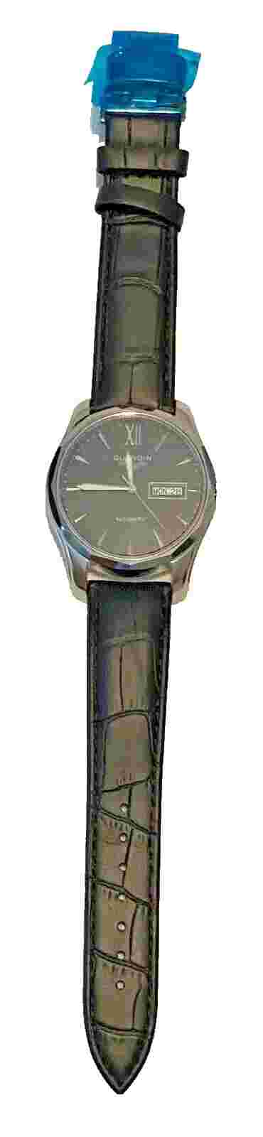 GUANQIN GJ16034 Men's Mechanical Automatic and Manual WINDING Dress Watch
