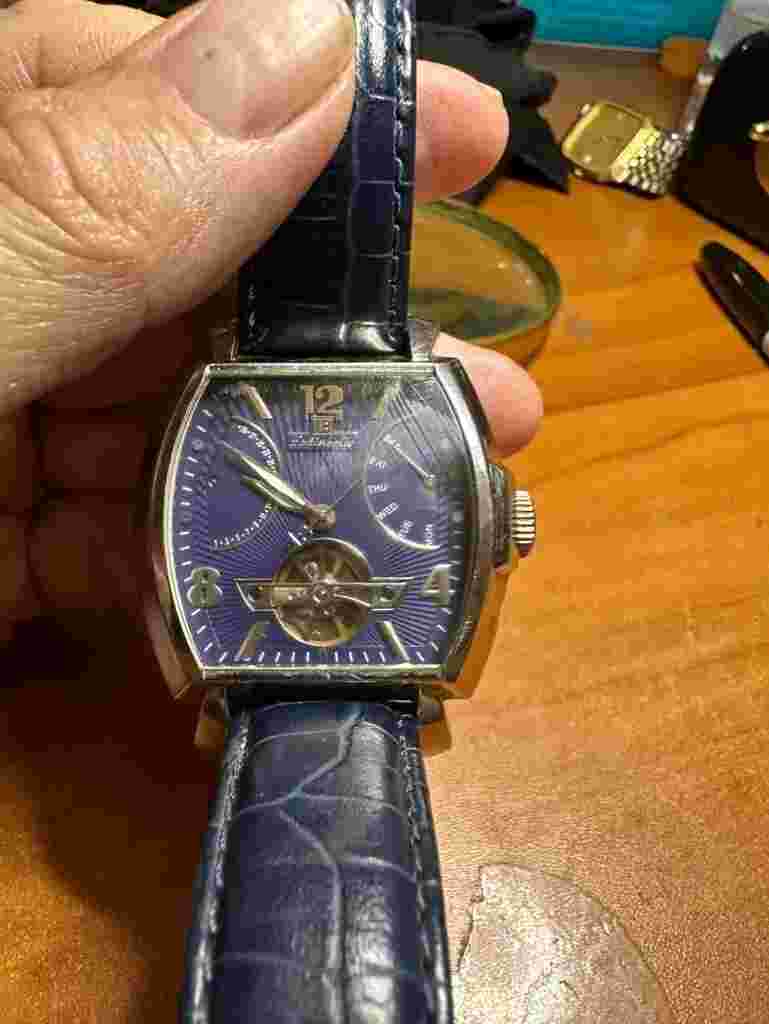 Louis Bolle Stainless Steel 30 meters Skeleton Men's Automatic Watch