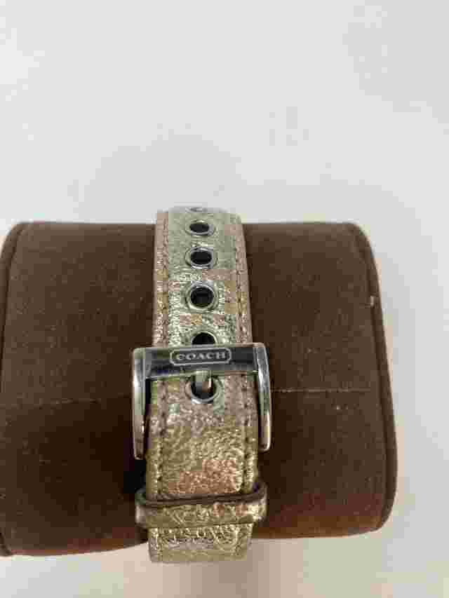 Coach Poppy Women's Leather Strap Quartz Watch