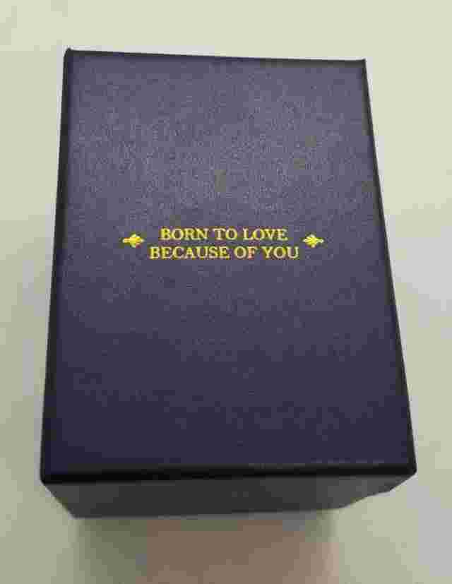 Sewor Alps  Automatic Wrist watch Brand New Black on Black