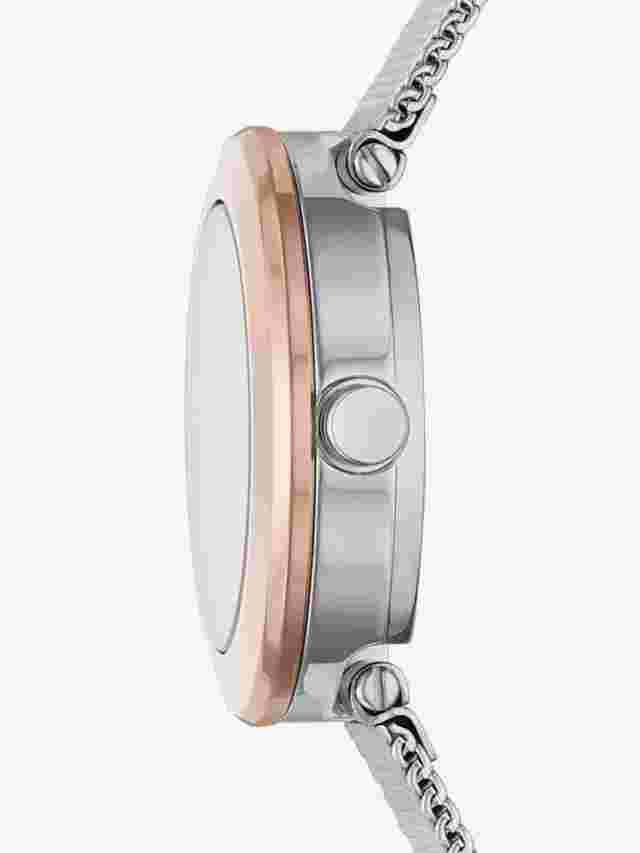 DKNY Ladies Sasha Watch NY2975