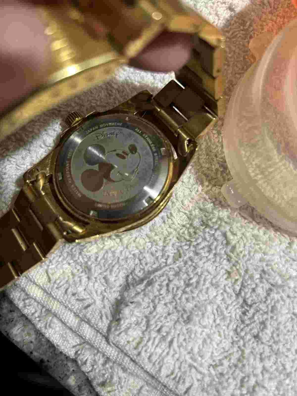 Invicta Limited Edition Disney