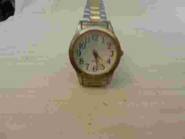 M.Z. Berger #WS17B Women's Quartz Watch Gold & Silver Band Color