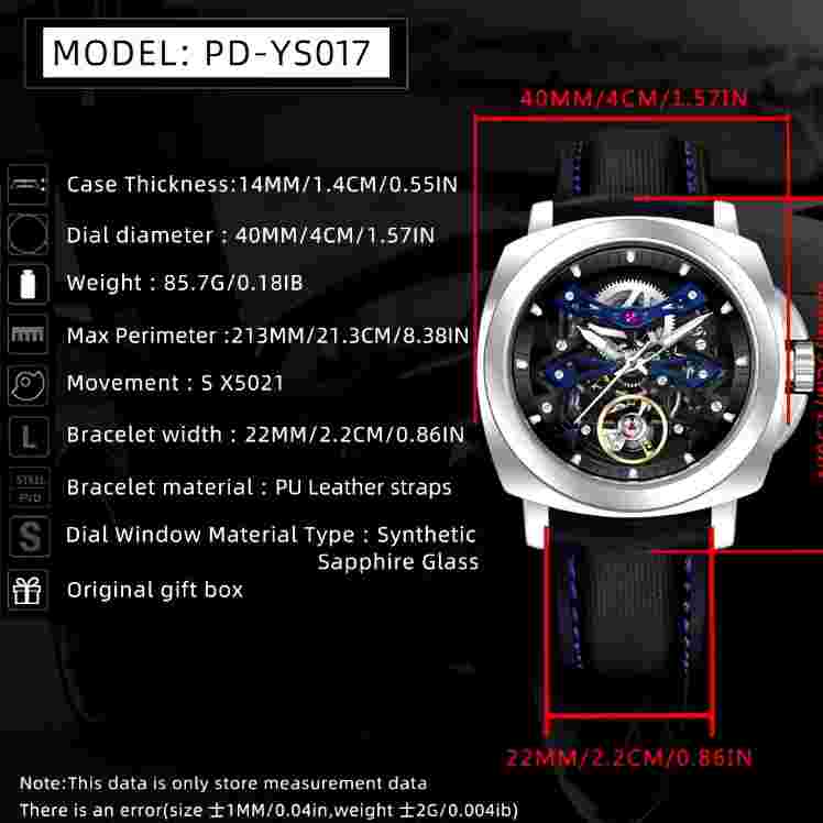 PAGANI DESIGN Skeleton Tourbillon Automatic Watch for Men Luminous Dial Watches