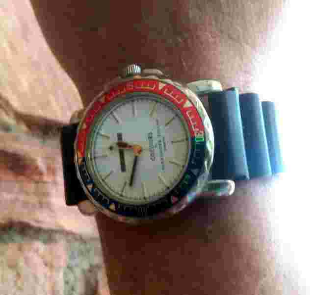Vintage Colours S/S Quartz Fashion Watch By Alexander Julian (Paris France)