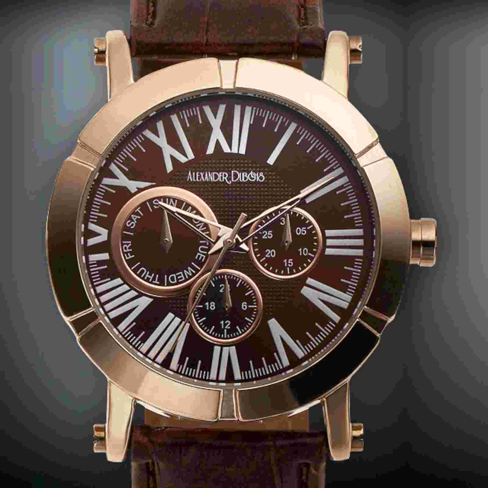 NEW Alexander Dubois 14024 Womens Loire Watch Multi-Function Brown/Gold Day Date