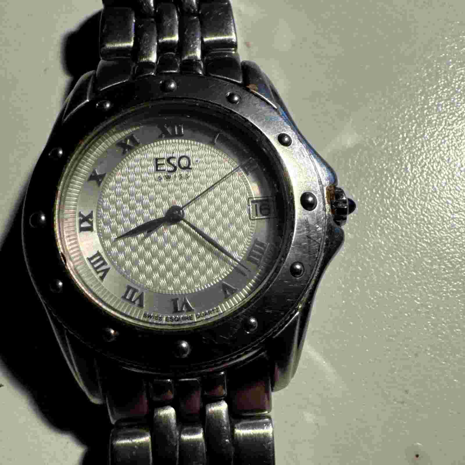 Esq Mens Silver Date Watch 300459A Roman Numeral