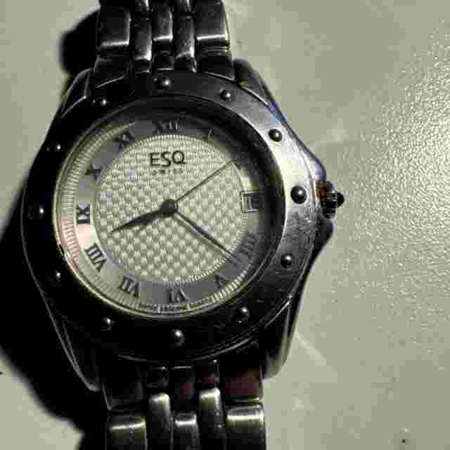 Esq Mens Silver Date Watch 300459A Roman Numeral