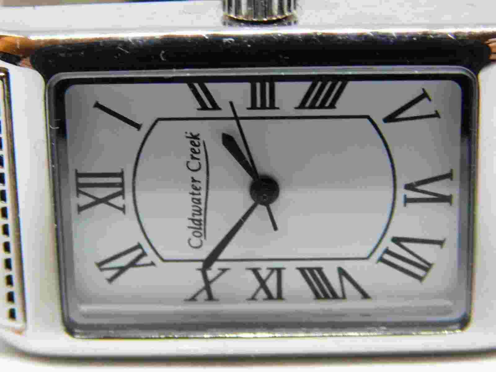 Coldwater Creek Genuine Leather Quartz Analog Ladies Watch