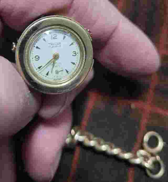 Vintage woman's beehive with bees bracelet watch Taylor 17 jewel