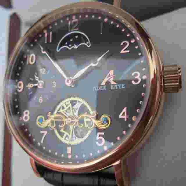 Adee Kaye Skeleton Men's Watch Automatic Lea Sports Original AK7117