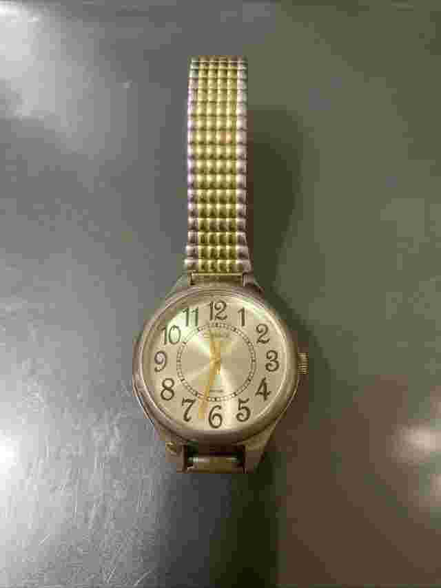 Carriage by Timex Gold And Silver Tone Womens Quartz Analog WR 30M Watch