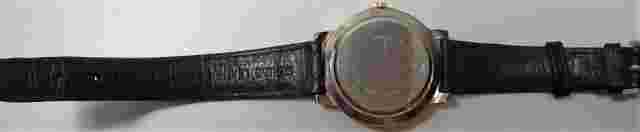 AUTHENTIC MEN'S TRIUMPH 5ATM PROFESSIONAL QUARTZ WRISTWATCH w LEATHER BAND