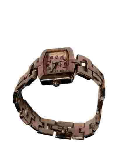 Suisse Ralph Wristwatch Women Stainless Steel Quartz Movement Water Resistant