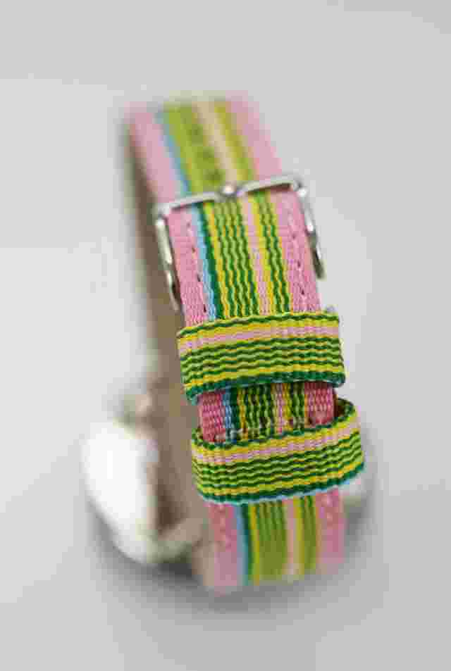 Charles Delon Watch Unisex Gray Stainless Colorful Canvas Water Resistant Quartz