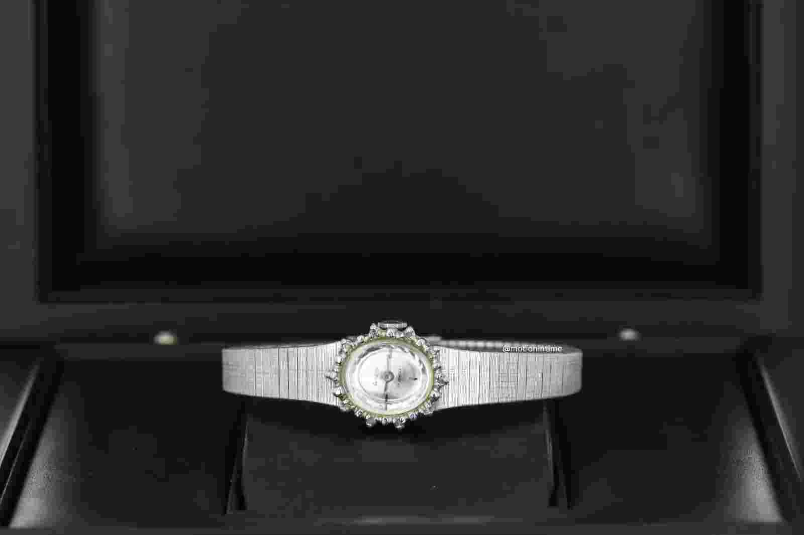 Armitron 7.5mm Silver Dial Ladies Watch in Stainless Steel