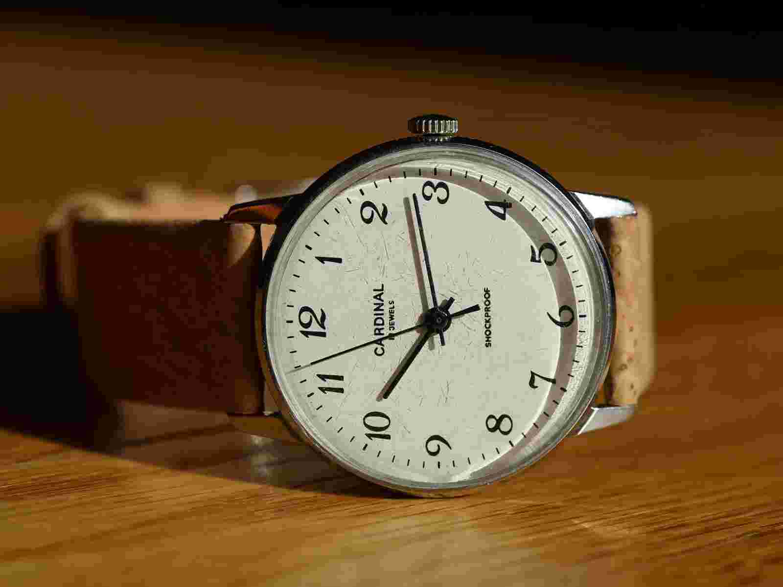 Cardinal Luch Poljot Raketa Watch mechanical USSR