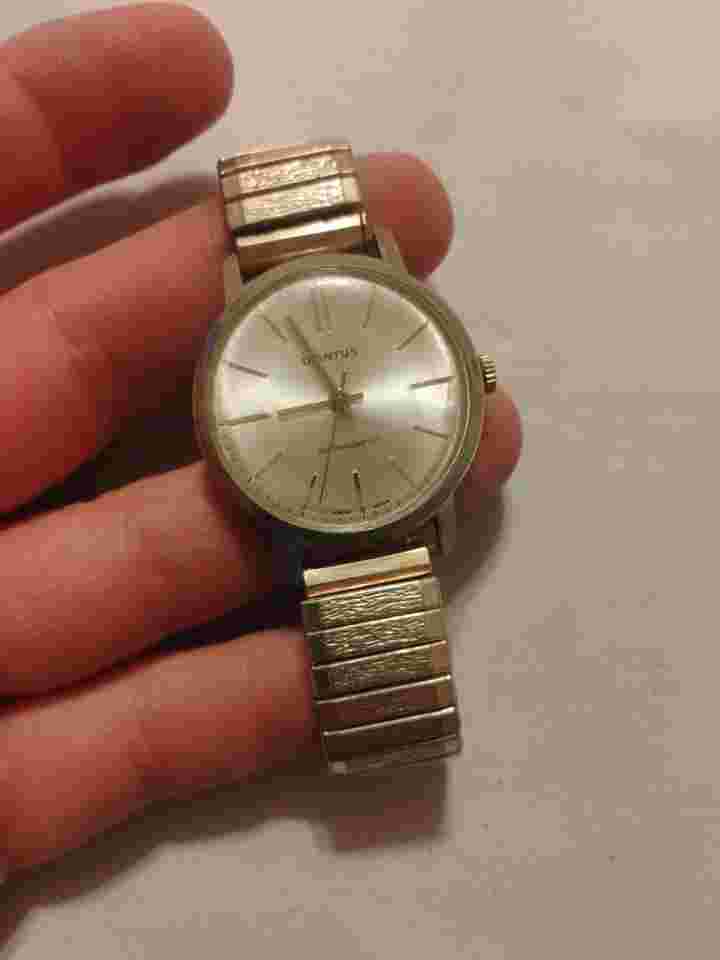 Dianthus Mens Swiss Watch 35MM Case Mechanical Wind - Keeps Time