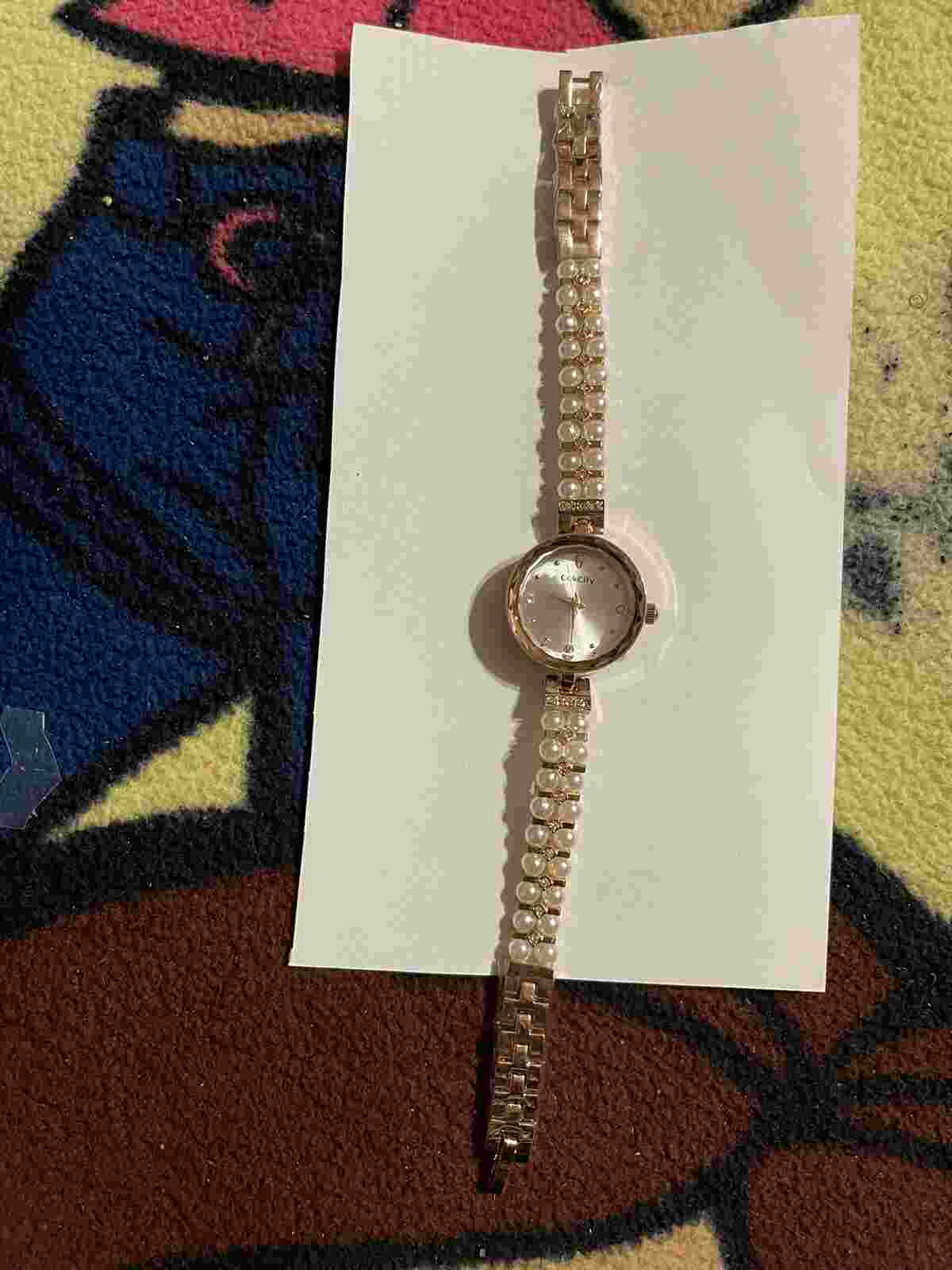 CakCity Luxury Ladies Pearl Classic Iced Out Bling Watch with Quartz Movement