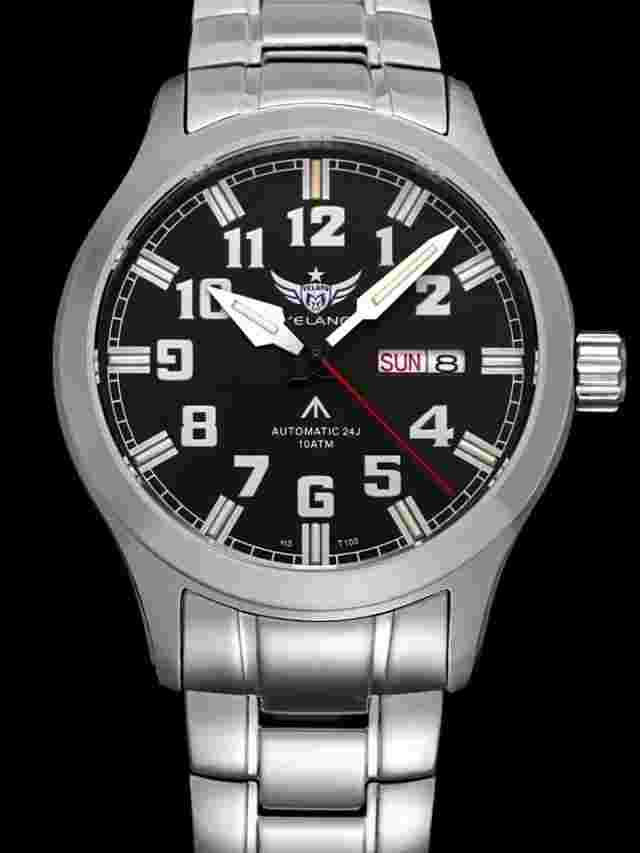 Yelang Men Automatic  Watch Japan Mov't 24Jewels Super Luminous Date Day WR100M