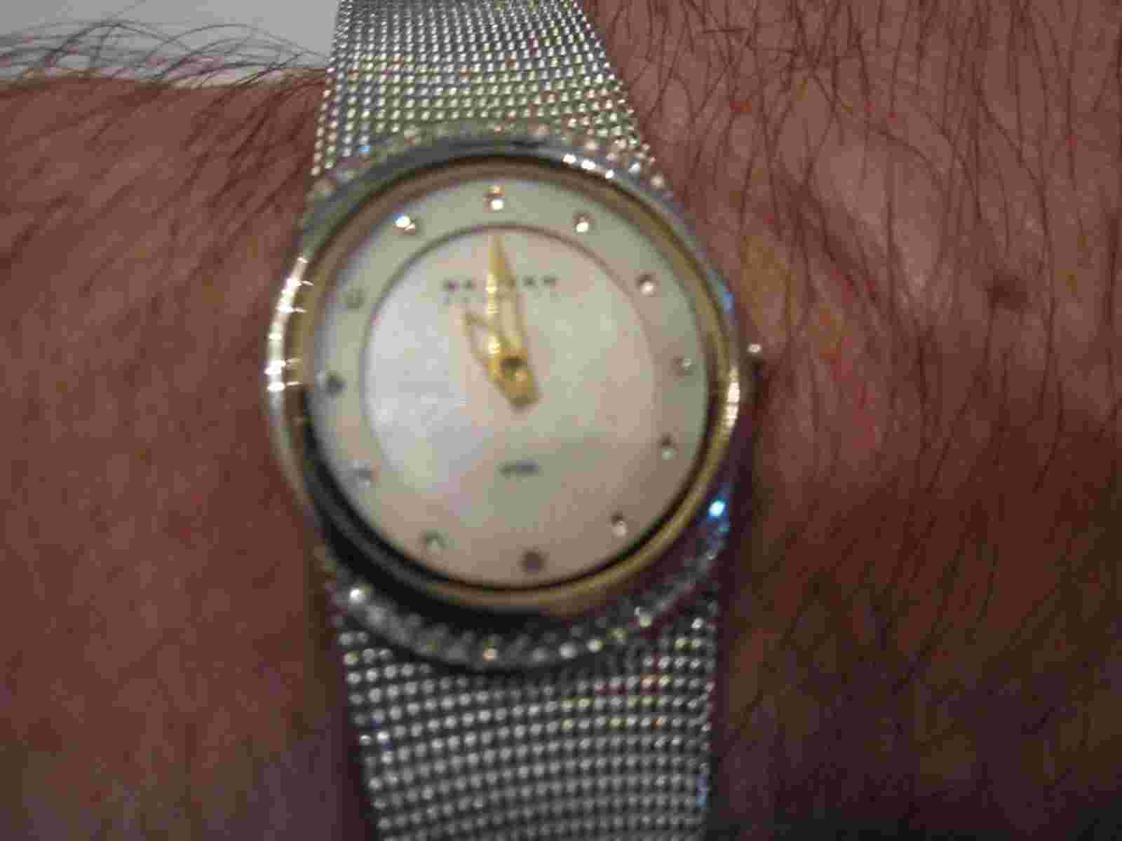 SKAGEN DENMARK STEEL MESH WATCH - QUARTZ - BBA11