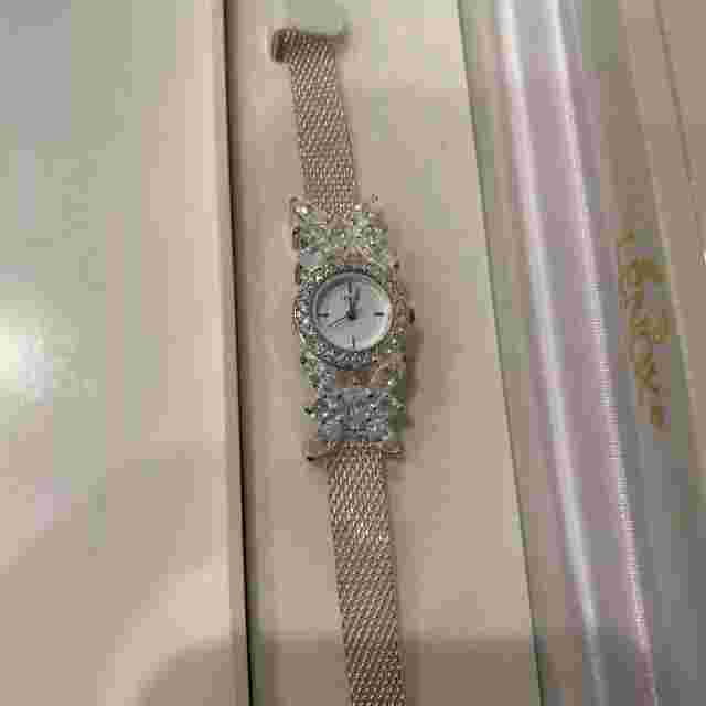 Lenox Crystal Butterfly Sterling Silver Stainless Steel Mesh Band Crystal Watch